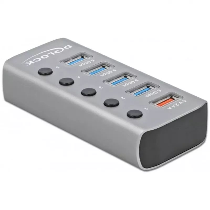 Delock DELOCK-63262 gris