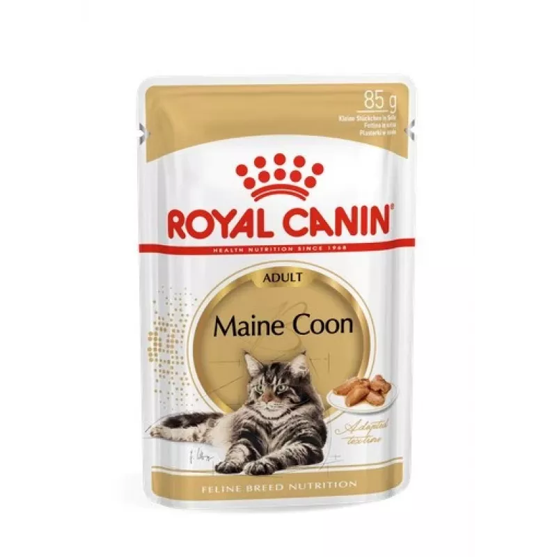 ROYAL CANIN FBN Maine Coon - Comida húmeda para gatos - Sachet 12x 85g