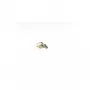 ALLNET ALL-B-65 Accesorio para placas de desarrollo (ALL-B-65)