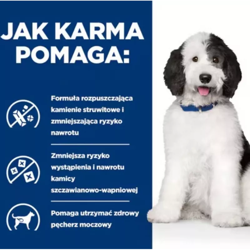 HILL'S PD Canine Urinary Care C/D - comida húmeda para perros - 370 g