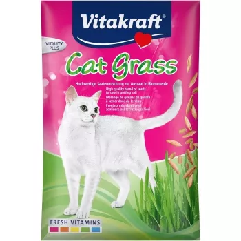 Semillas de hierba para gatos Vitakraft 50 g — mezcla de plantas comestibles para gatos, bolsa de 50 g, favorece la digestión y la eliminación de bolas de pelo
