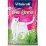 Semillas de hierba para gatos Vitakraft 50 g — mezcla de plantas comestibles para gatos, bolsa de 50 g, favorece la digestión y la eliminación de bolas de pelo
