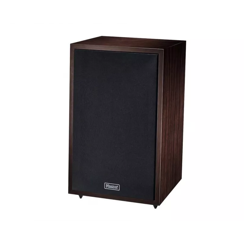 Altavoz de suelo Magnat TRANSPULS 800A 2 vías con cable e inalámbrico 2×60 W, Bluetooth 5.0, HDMI, negro/marrón