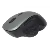 Ratón óptico Gembird MUSW-6B-02-BG USB