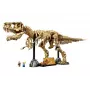 LEGO Esqueletos de dinosaurios Tyrannosaurus 76968 Set de construcción – modelo de esqueleto de T. rex para construir