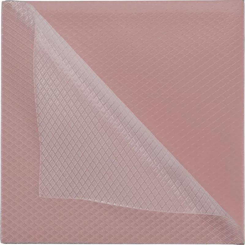 Thermal Grizzly Minus Pad 8 – 100 x 100 x 0,5 mm, 2 uds.