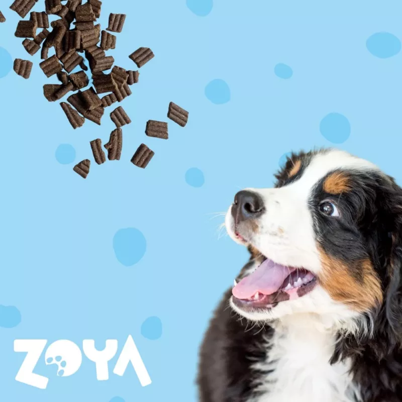 ZOYA ColdPRO pienso seco para perros de pato, 9 kg