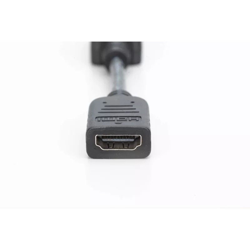 Adaptador / convertidor DisplayPort Digitus