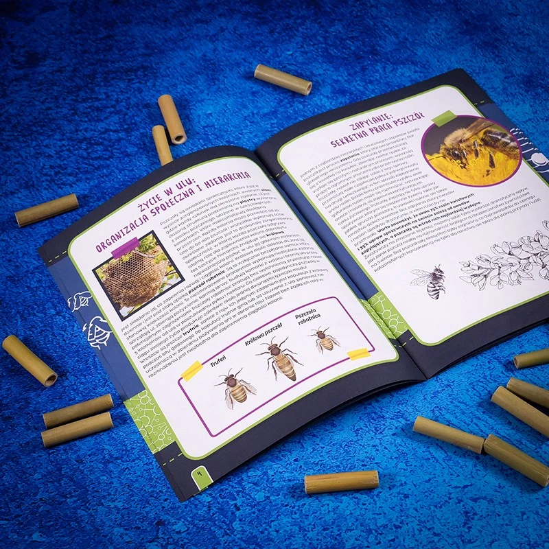 Set I'M A Genius - laboratorio de abejas