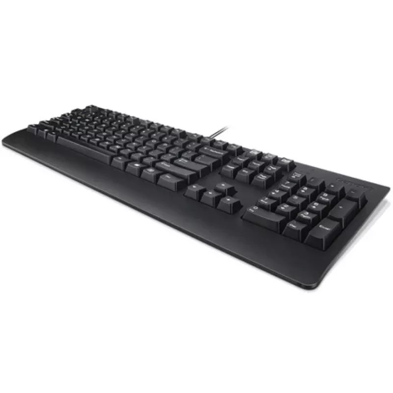 Lenovo 4X30M86918 teclado Office USB QWERTY US inglés negro