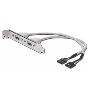Cable con placa de ranura USB Digitus AK-300301-002-E