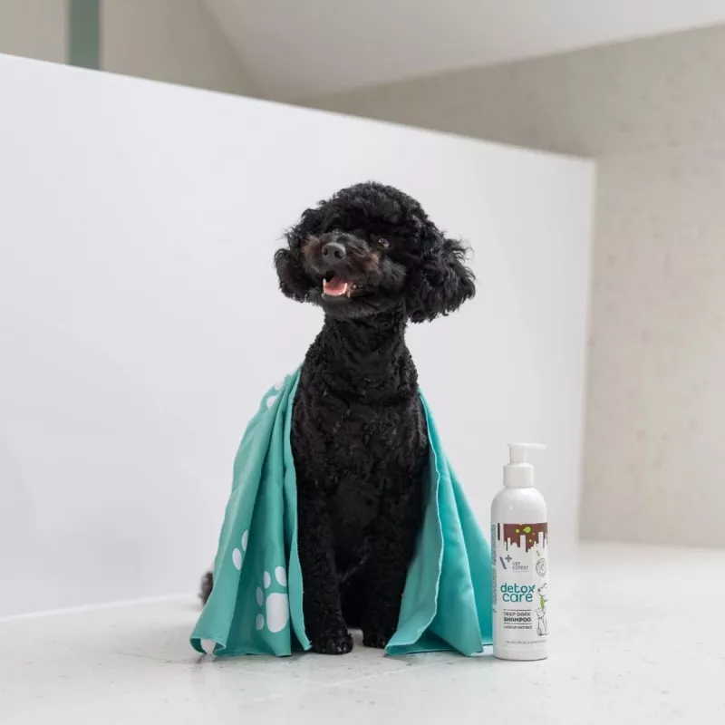 VetExpert Detox Care Deep Dark champú para perros y gatos, 250 ml