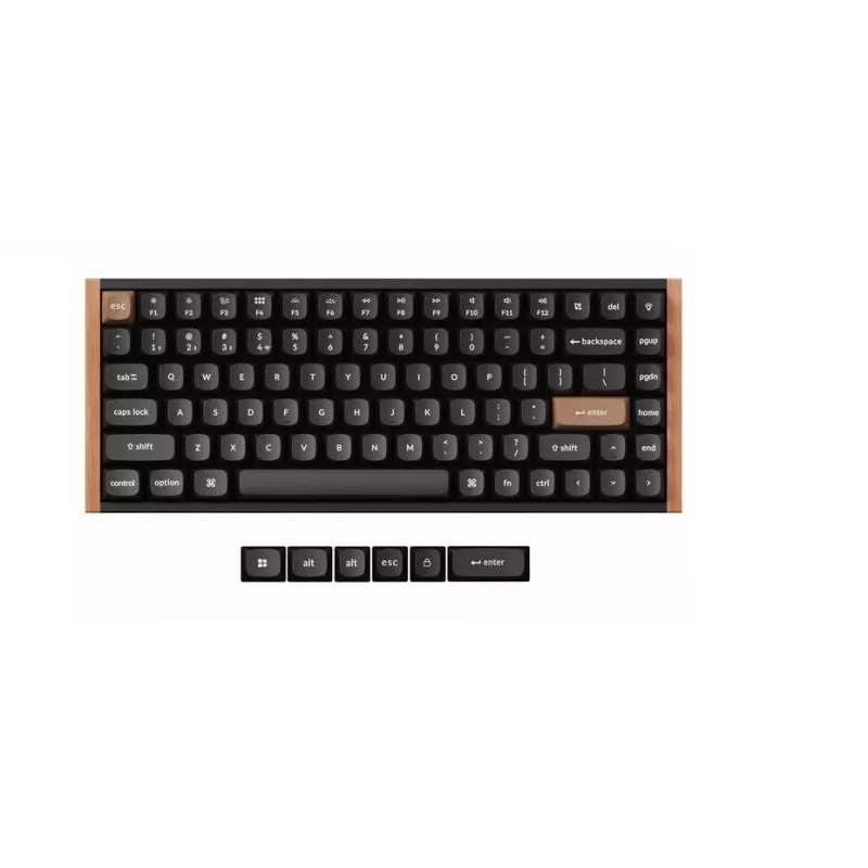 Teclado mecánico inalámbrico Keychron K2 Special Edition — diseño compacto 75 %, retroiluminación RGB, Negro, modelo K2H-F1