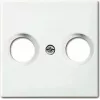 Placa mural / tapa de interruptor Busch-Jaeger 1724-0-4334 blanco para Busch-balance SI
