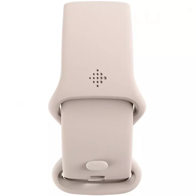 Fitbit GA05185-EU Producto Plata
