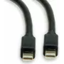 Roline cable de conexión DisplayPort 1,00 m 11.04.5817 apantallado Negro [1x conector macho Mini-DisplayPort - 1x conector macho Mini-DisplayPort] (11.04.5817)