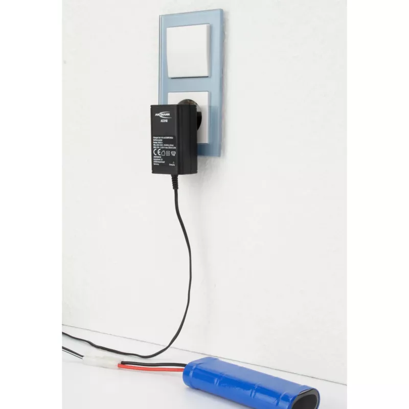 Cargador de interior Ansmann ACS 48