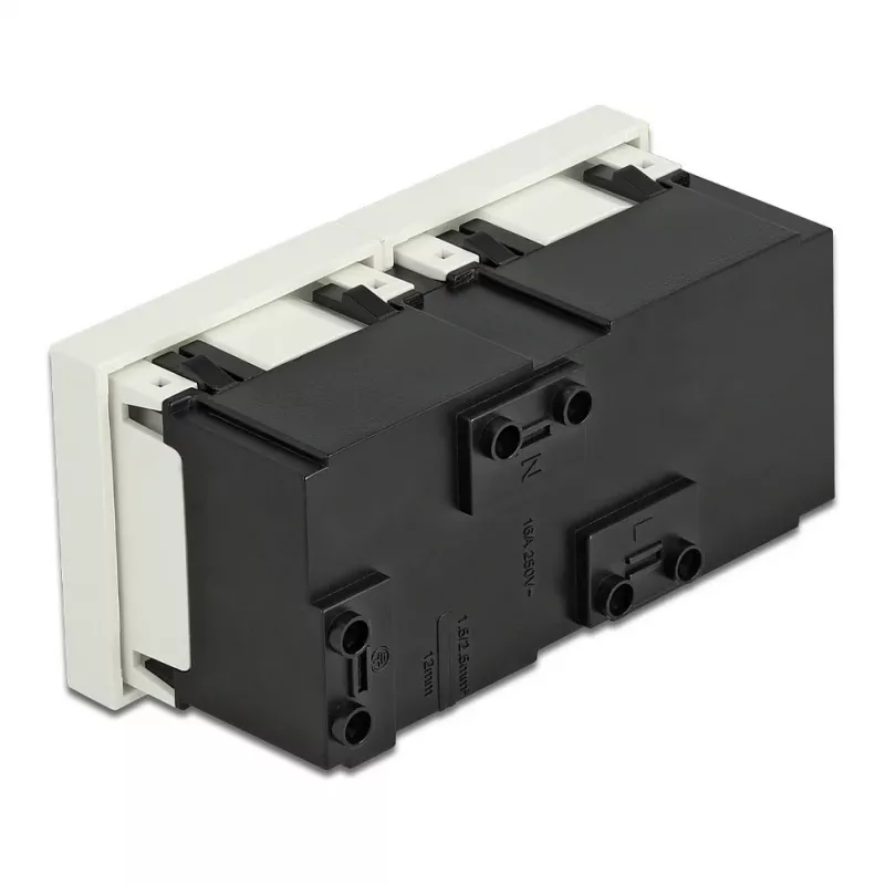 Toma de pared DELOCK 81423 — CEE 7/3, 16 A, 250 V, blanca, ABS/PC, 45×90 mm