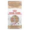 Royal Canin Sphynx Adult comida seca para gatos, 2 kg