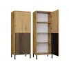 Vitrina KAMARO 2DK estrecha/GŁ roble ARTISAN