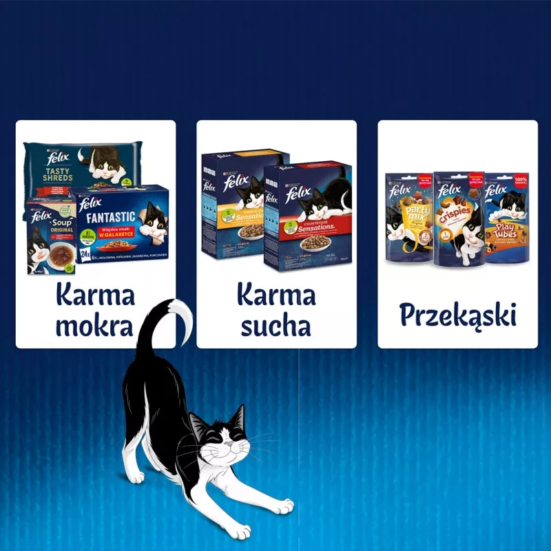 Alimento húmedo para gatos Purina Nestlé FELIX Fantastic sabor pescado — atún, salmón, bacalao, platija, 12×85 g bolsas