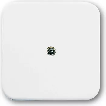 Busch Jaeger 1724-0-0921 Placa de pared/Tapa de interruptor Blanco (1724-0-0921)