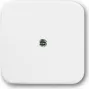 Busch Jaeger 1724-0-0921 Placa de pared/Tapa de interruptor Blanco (1724-0-0921)
