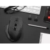 Ratón Tracer Cozy para diestros RF inalámbrico óptico 1600 DPI