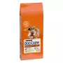 Purina Dog Chow Mature Senior alimento seco para perros con cordero, 14 kg