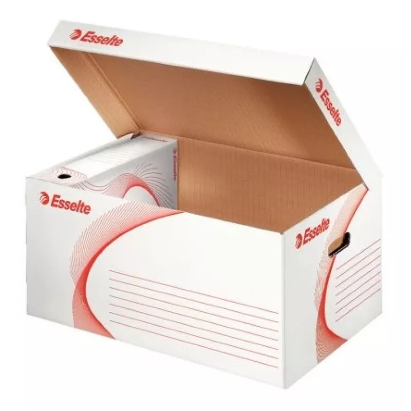 Caja de archivo Esselte 365 mm x 550 mm x 255 mm