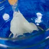Juego de construcción científico Liscianigiochi Crazy Science Slime en la oscuridad 304-PL89239 — set de experimentos con slime que brilla en la oscuridad