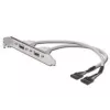Cable con placa de ranura USB Digitus AK-300301-002-E