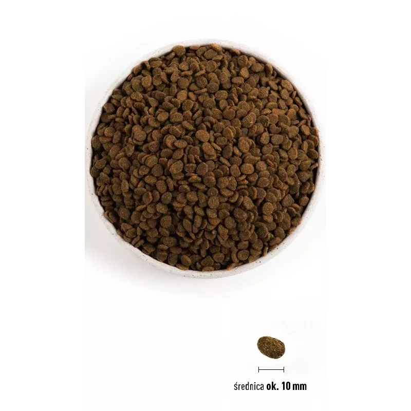 ORIJEN Guardian 8 - alimento seco para gatos - 1,8 kg