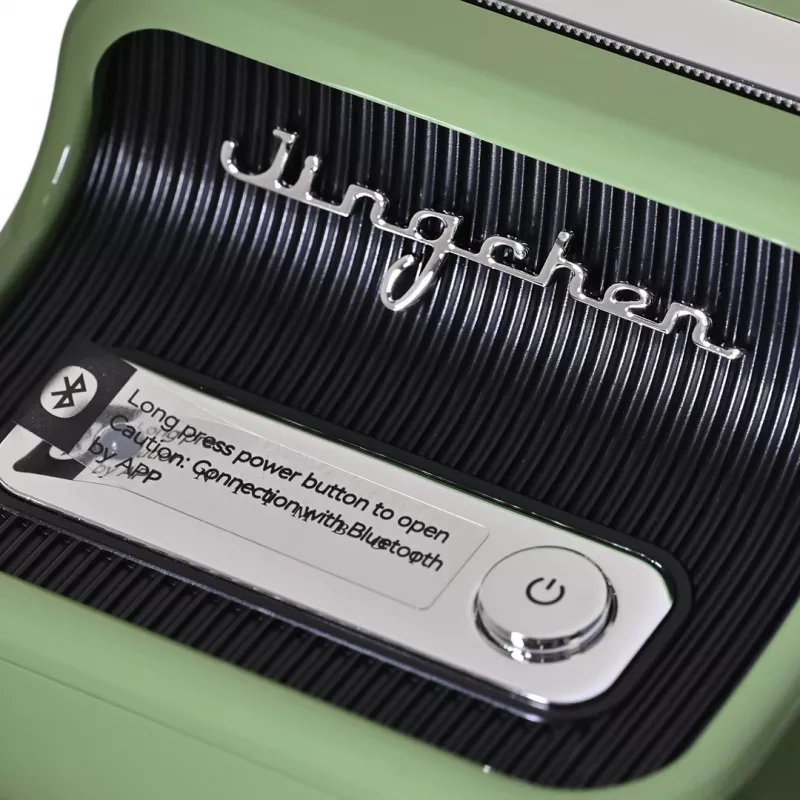 Impresora de etiquetas Niimbot B21S verde