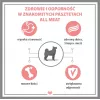 PUPIL Premium All Meat Gold lomo de cordero - Comida húmeda para perros - 800 g