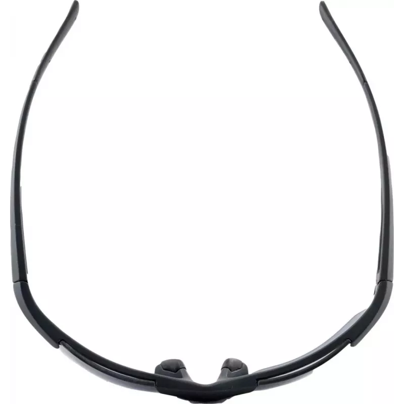 Gafas de sol ALPINA DEFEY HR color negro mate lente negra Cat. 3