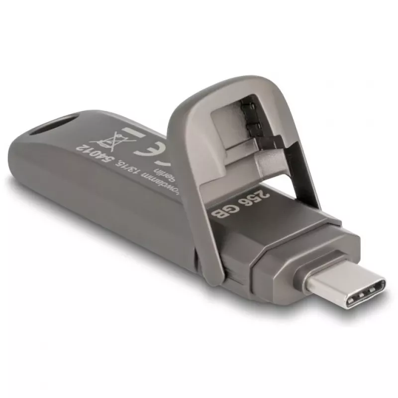 Memoria flash USB DeLOCK 54012 256 GB USB Type-C gris
