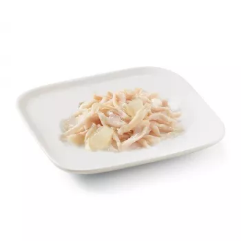 SCHESIR en gelatina pollo con aloe - Comida húmeda para perros - 150 g