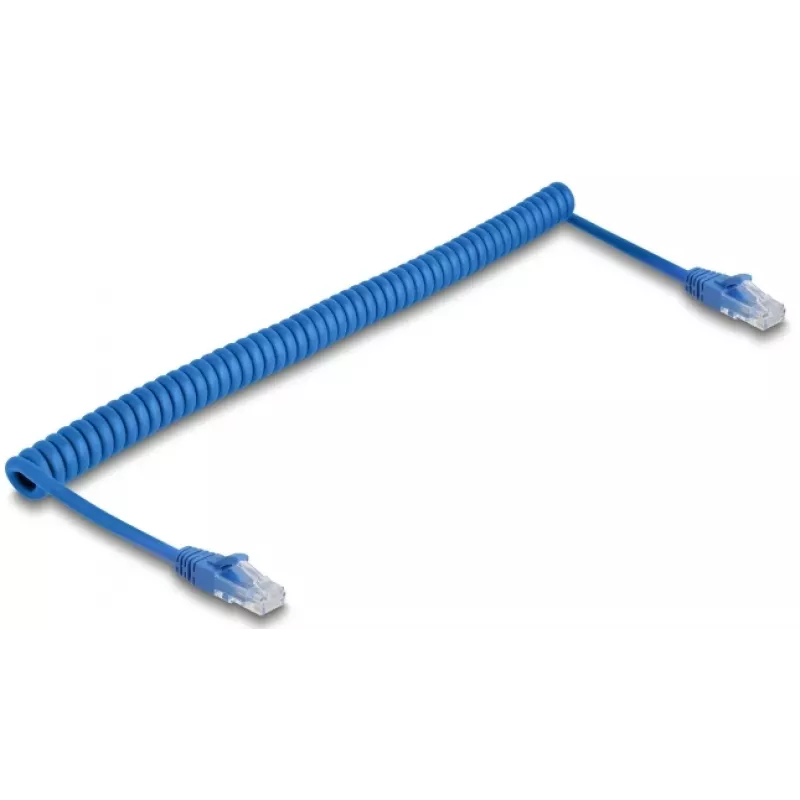 Cable de red DeLOCK 90197 azul 1,2 m Cat6 U/UTP