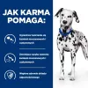 HILL'S PRESCRIPTION DIET Urinary Care Canine u/d pienso para perros 10 kg