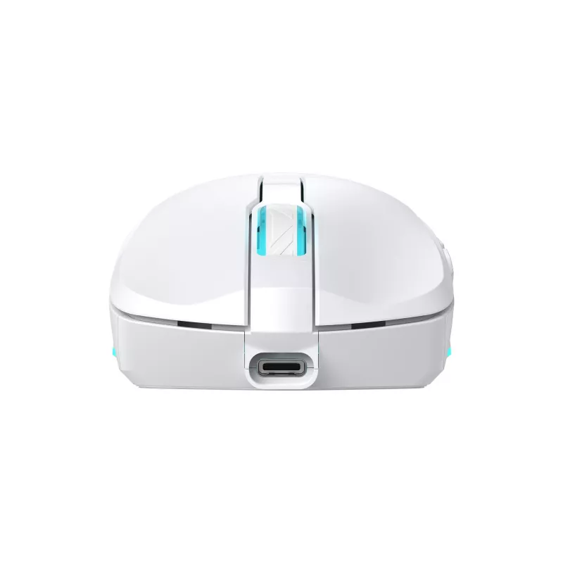 Ratón Baracuda BGM-122 Turtle blanco TURTLE-W