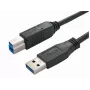 Cable USB Bachmann 917.1205 USB 3.2 Gen 1 1 m USB-A USB-B negro