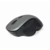 Ratón óptico Gembird MUSW-6B-02-BG USB