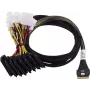 Cable Adaptec 1x SFF8654 x8 -> SFF8639 8xU.3 interno 0,8 m SlimSAS - 8SFF-8639 x1 and3 Tri-Mode SAS/SATA/NVMe