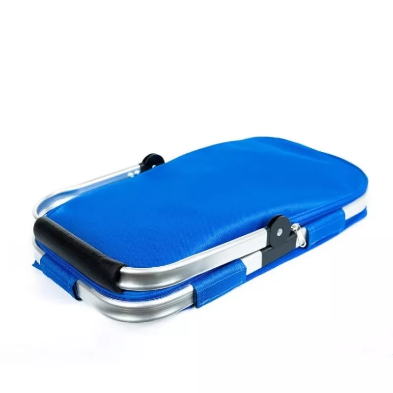 Cesta de picnic térmica PROMIS TL24N 24 l, azul, 400×220×210 mm