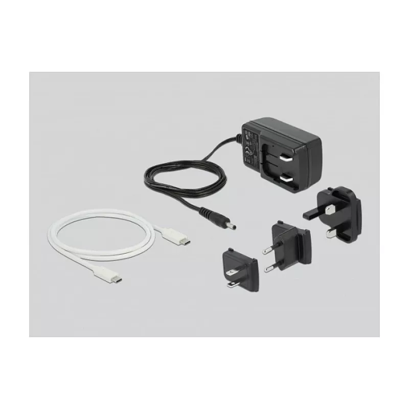 Estación de acoplamiento DeLOCK USB Type-C™ 3.2 para 2 x discos duros/SSD SATA de 2,5 inch