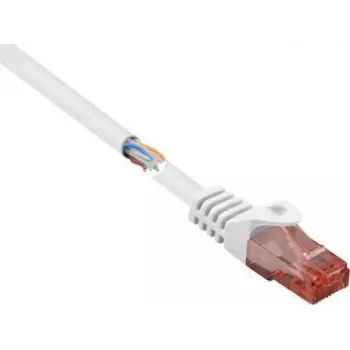 Renkforce RF-5044026 Cable de red Ethernet blanco