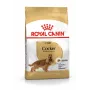 Royal Canin Cocker Adult pienso seco para perros, 12 kg