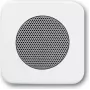 BUSCH JAEGER 8200-0-0077 - Blanco - convencional - Busch-Jaeger - Módulo de altavoz 8223 U - 54 mm - 54 mm