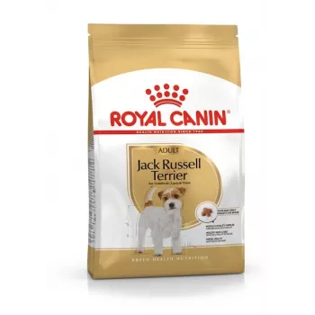 ROYAL CANIN Jack Russell Adult - pienso seco para perros - 7,5 kg